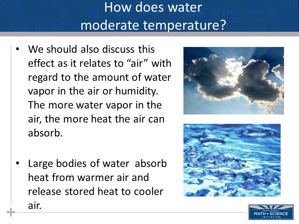 Water and the Fitness of the Environment ppt video online download